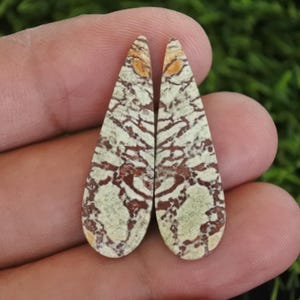 Può includere: Due pietre preziose a forma di goccia con un motivo unico. Le pietre presentano un mix di colori verde chiaro, marrone e crema, con venature e motivi intricati. Le pietre preziose sono tenute in una mano su uno sfondo verde sfocato.