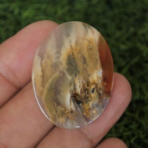 Può includere: Cabochon ovale in agata con motivi a spirale marroni, bianchi e grigi.