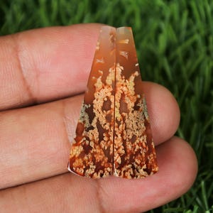 Translucent Palmroot Earring Pair