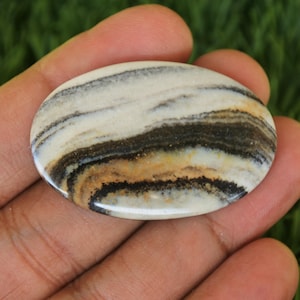 May include: A smooth, oval-shaped, polished stone with black, white and brown stripes. The stone is approximately 5 cm long and 2.5 cm wide.