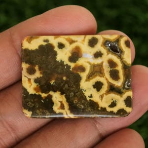 May include: A rectangular gemstone with a unique pattern of dark brown spots and swirls on a light yellow background. The polished stone is held in a hand, showcasing its natural beauty and intricate design. This stone is ideal for jewelry making.