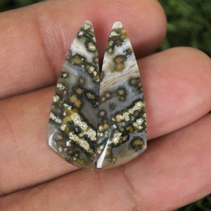 May include: Two polished gemstone cabochons with a distinctive pattern. The stones display a mix of white, grey, brown, and olive green, with a speckled and mottled appearance. The cabochons are held in a hand, highlighting their shape and detail.