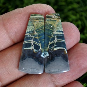 May include: Two polished, trapezoid-shaped gemstones. The stones feature a blend of blue, tan, and grey hues with intricate veining patterns. The bottom portion of each stone is a solid grey colour.