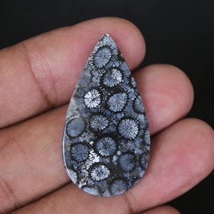May include: A teardrop-shaped cabochon of fossilised coral, with a black and white pattern of circular shapes.