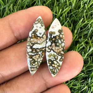 May include: Two polished, teardrop-shaped gemstones with a unique pattern of white, brown, and green spots. The stones are held in a hand against a backdrop of green grass. These gemstones are ideal for jewelry making.