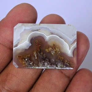 Orbicular Agate, Moss Agate