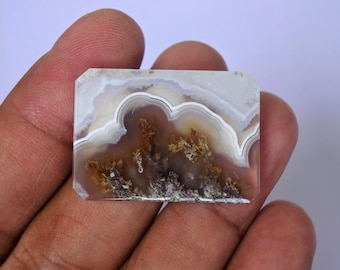 Orbicular Agate, Moss Agate
