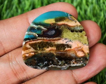 Multicolor Opalized Petrified Wood