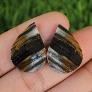 Op de afbeelding: Twee traanvormige cabochons van versteend hout. De cabochons zijn een mix van zwart, bruin en wit met een gestreept patroon.