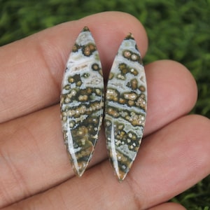 Puede incluir: Dos cabujones de piedras preciosas pulidas con forma de hoja. Las piedras presentan un patrón de manchas y remolinos blancos, marrones y verdes. Los cabujones se sostienen en una mano sobre un fondo verde borroso.