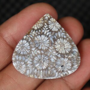 May include: A white and grey fossilised coral cabochon with a flower-like pattern. The cabochon is shaped like a teardrop and has a smooth, polished surface.