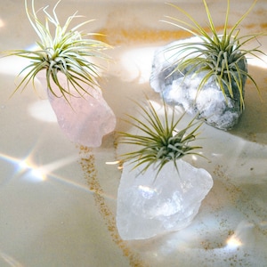 Crystal Air Plant Holder Tillandsia Gemstone Terrarium Home Decor