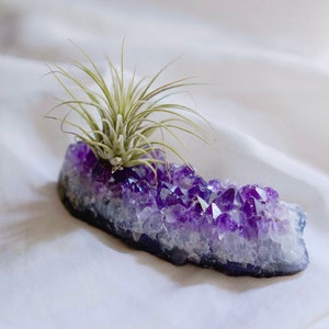 Amethyst Crystal Air Plant Holder Tillandsia Gemstone Home Decor