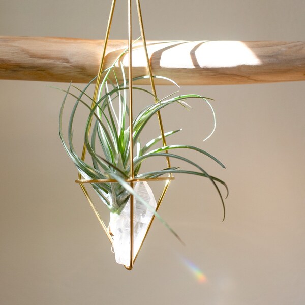 Large Hanging Crystal Air Plant Holder Sun Catcher Gemstone Home Decor