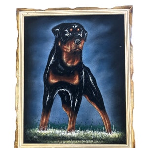 18&quot; x 22&quot; HAND PAINTED DOG , Velvet painting , Framed , signed , Vintage painting , Rottweiler painting