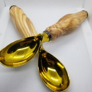 Ice Cream Scoop