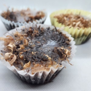 Fire Starter Pucks ◾ Camp Fire Starters ◾ Backyard Fire Pit Starter ◾ All Natural