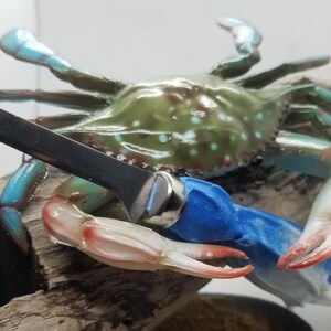 May include: A crab figurine with a blue and green shell, holding a knife. The crab's claws are blue and red, and it rests on a piece of driftwood. The crab has white spots on its shell.