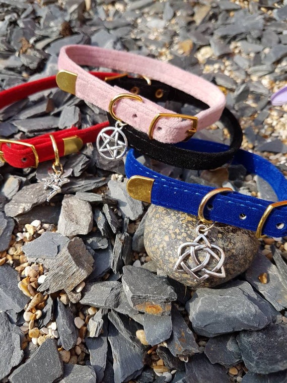 Charmed cat collar hot sale