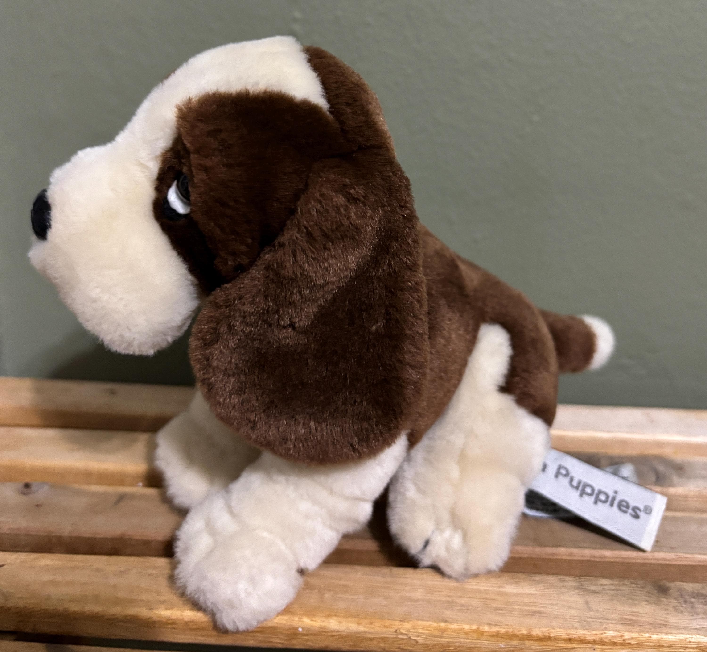 Hush Puppies バセットハウンド ぬいぐるみ 4点セット il_fullxfull.8331782498_nj07.jpg
