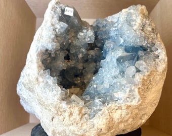 May include: A large, rough-edged geode with a light blue crystal interior. The outer shell is a light beige color, and the geode sits on a small, round, black velvet base. The crystals are clustered inside the geode.