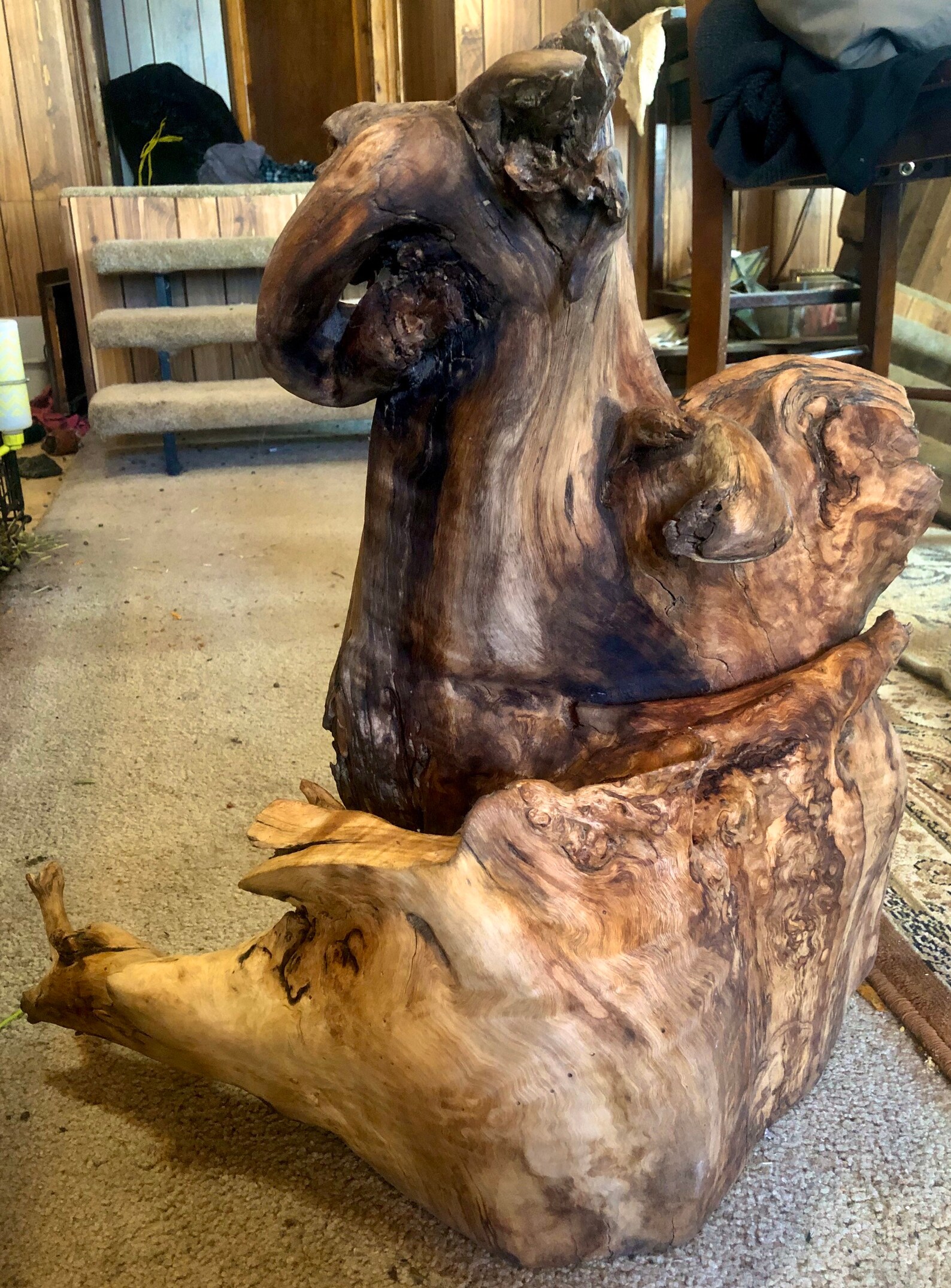 Large Natural Cottonwood Root Sculpture Etsy