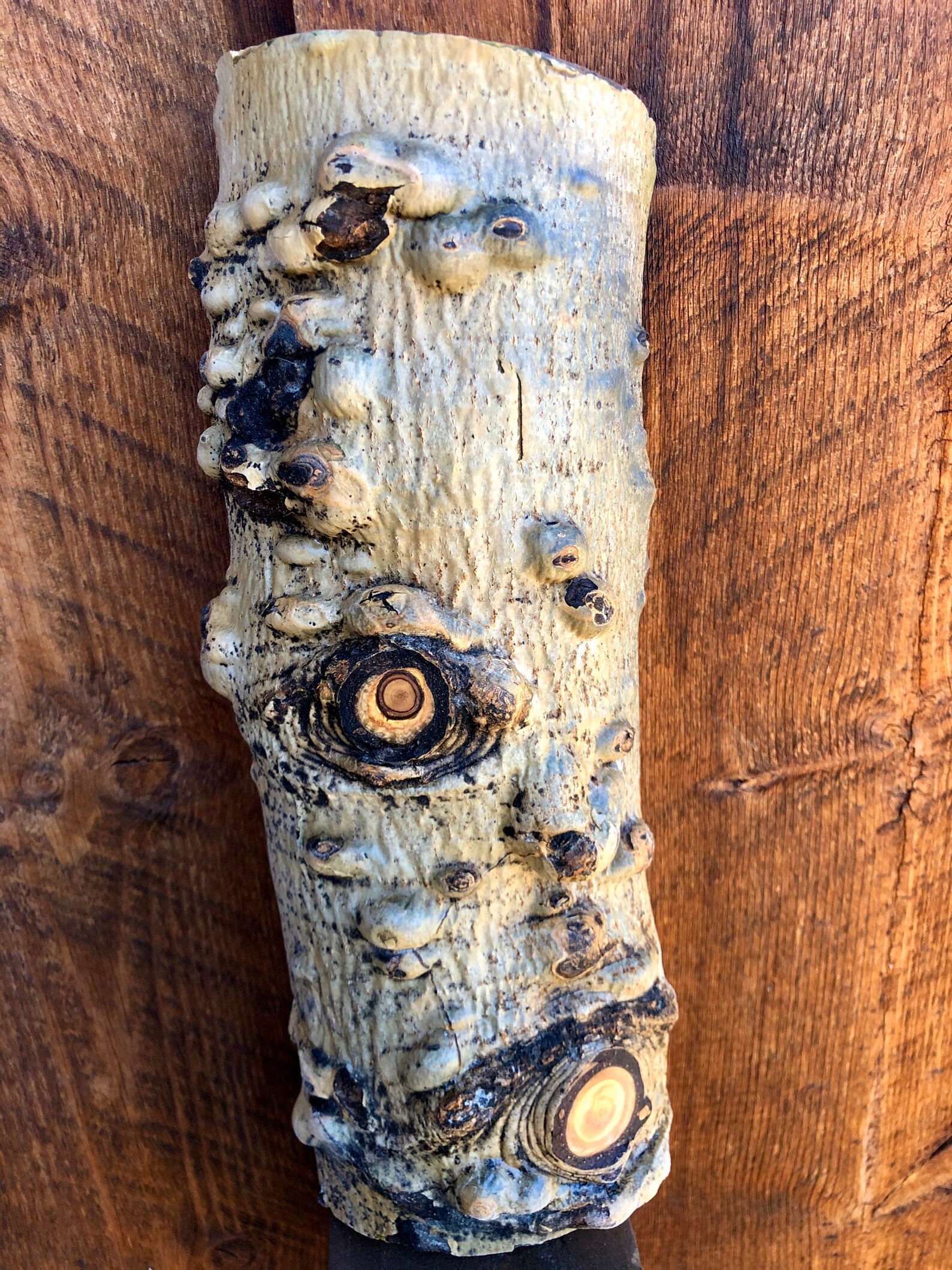 Natural Aspen Wood Wall Hanging Etsy