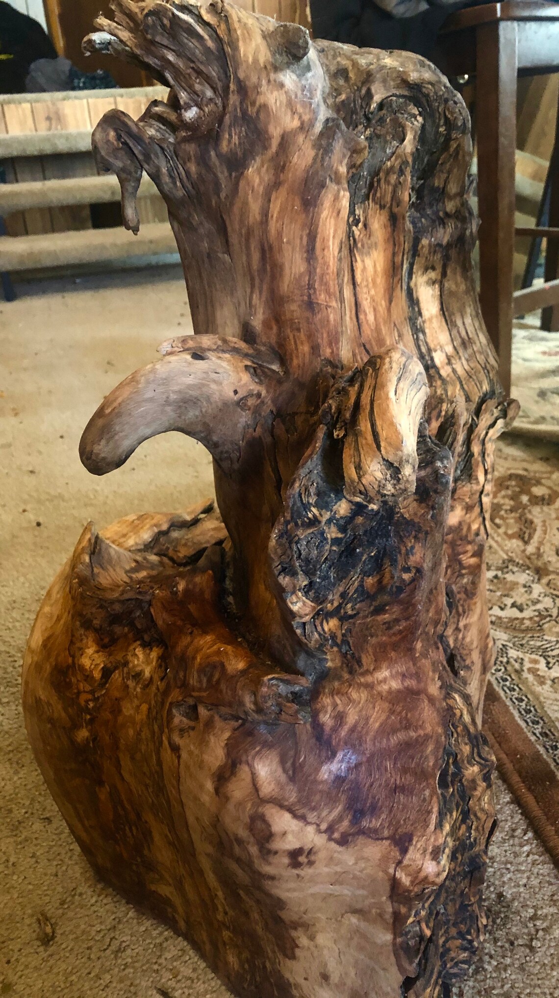 Large Natural Cottonwood Root Sculpture Etsy