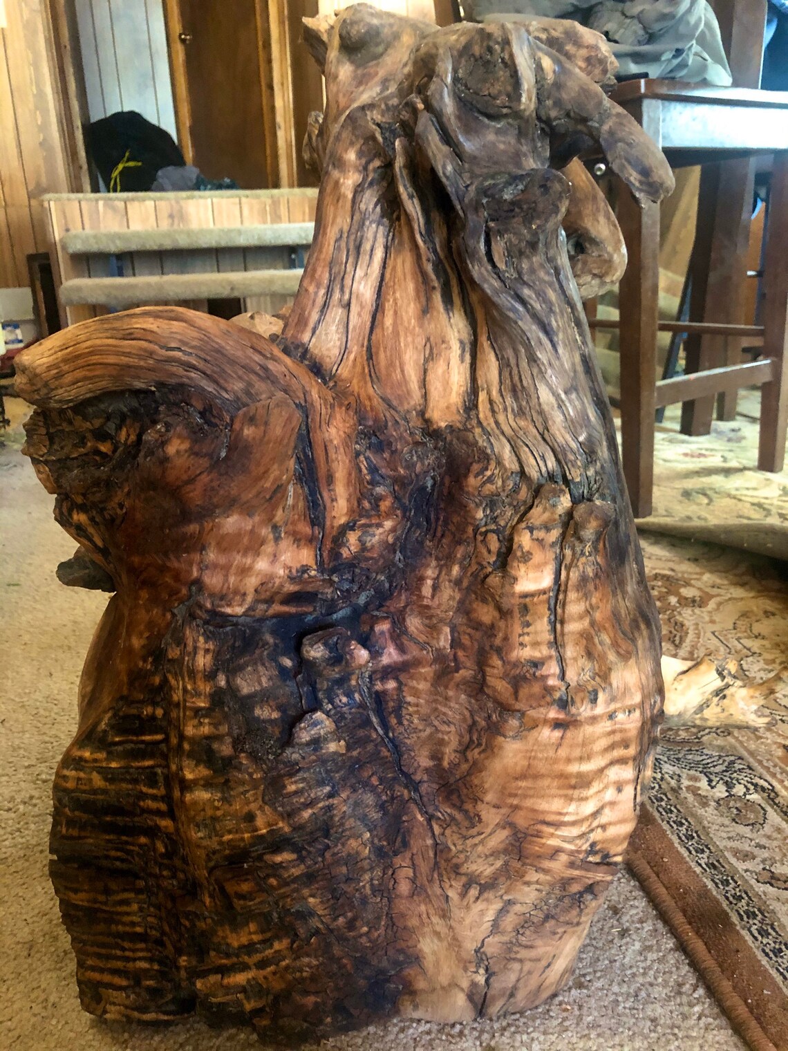 Large Natural Cottonwood Root Sculpture Etsy