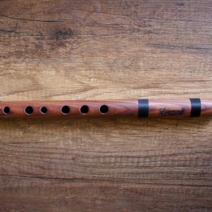 Professional Lupaca Jacaranda wood Quenilla Flute in D