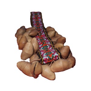 Maracas-Shaker Seed - Chajchas