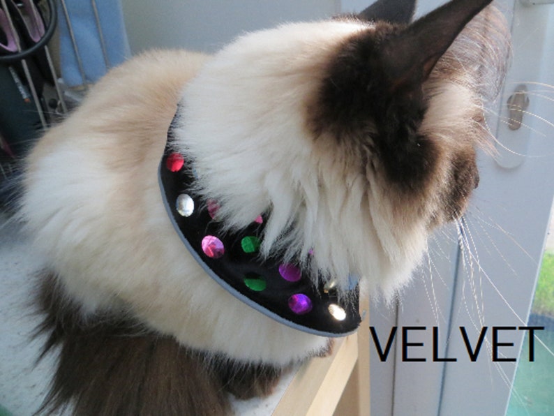 Stop Cat Bird Protecting Cat collar UVr Reflectors night Reflecting Trim Trackable Reg.Design 6084012 image 6
