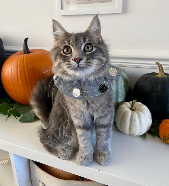 Bird safe cat collar sale