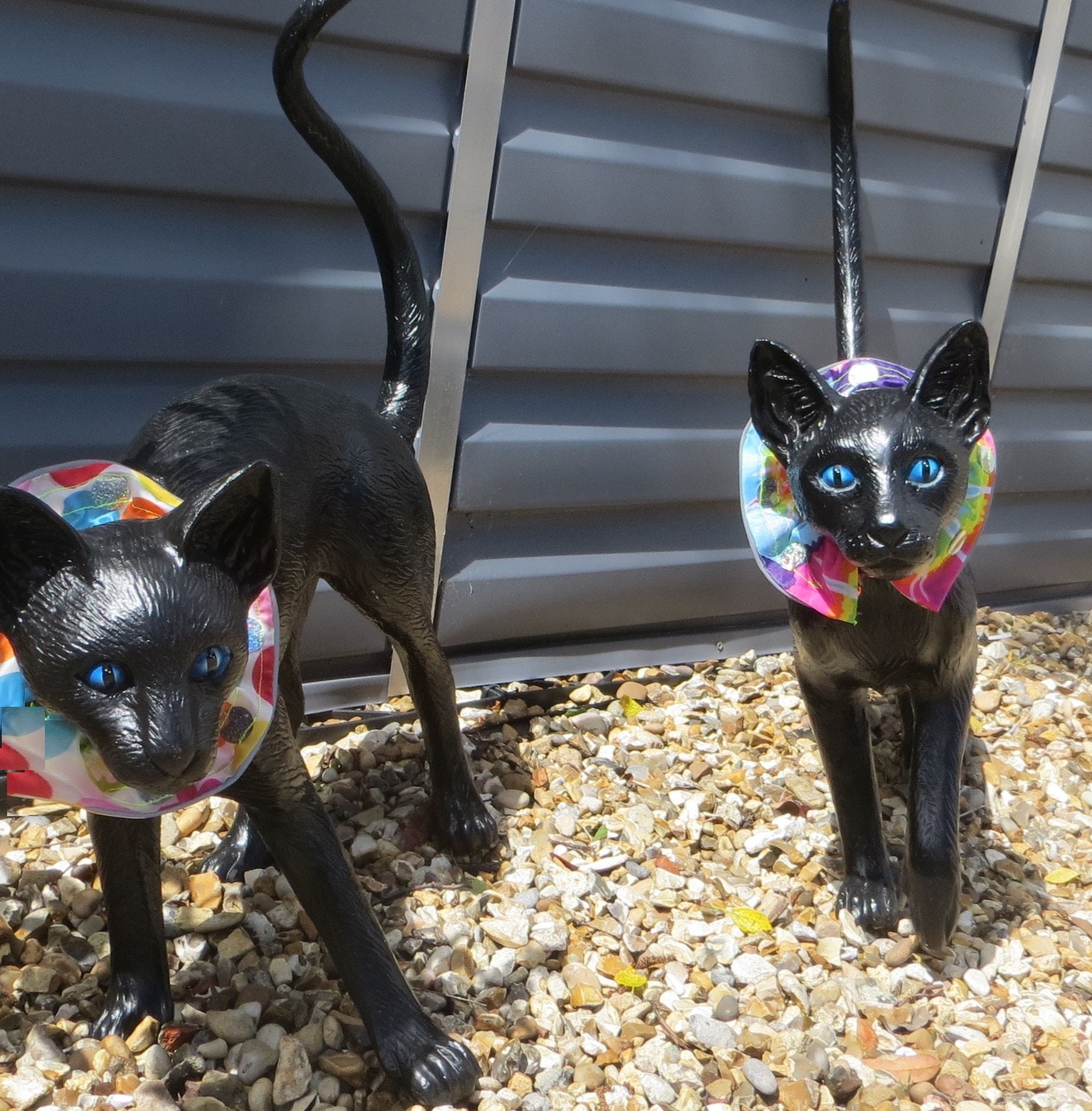 Bird Saver Cat Collar WATERPROOF New for 2024 Unique UVR Design save Birds Stop Cats Catching Birds Etsy UK