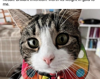 STOP CAT Bird Saver Collar: Weight Adjustable Breakaway collar, Reflective Trim