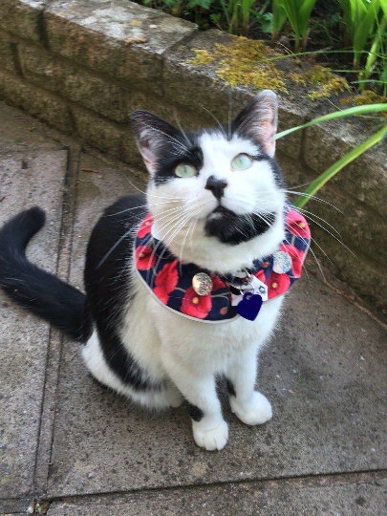 Protect BIRDS Custom Made CAT Collars New UNIQUE Uvr Etsy UK