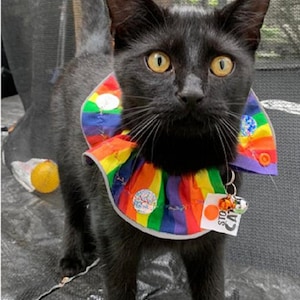 Cat bib to stop cheap hunting