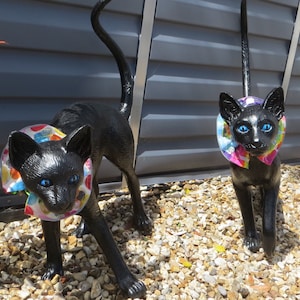 Cat plastic collar online