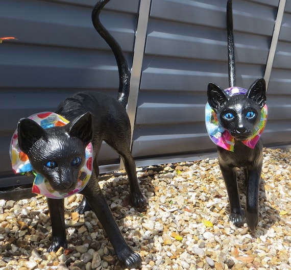 Collar to stop cats catching birds online