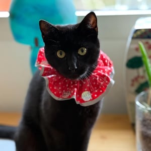 STOP CAT Bird Saving Collar: Waterproof Reflective Bell Cat Safety