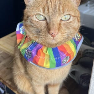 Bird Saver Cat Collar: UV Reflector, Reflective Trim, Bell, Trackable