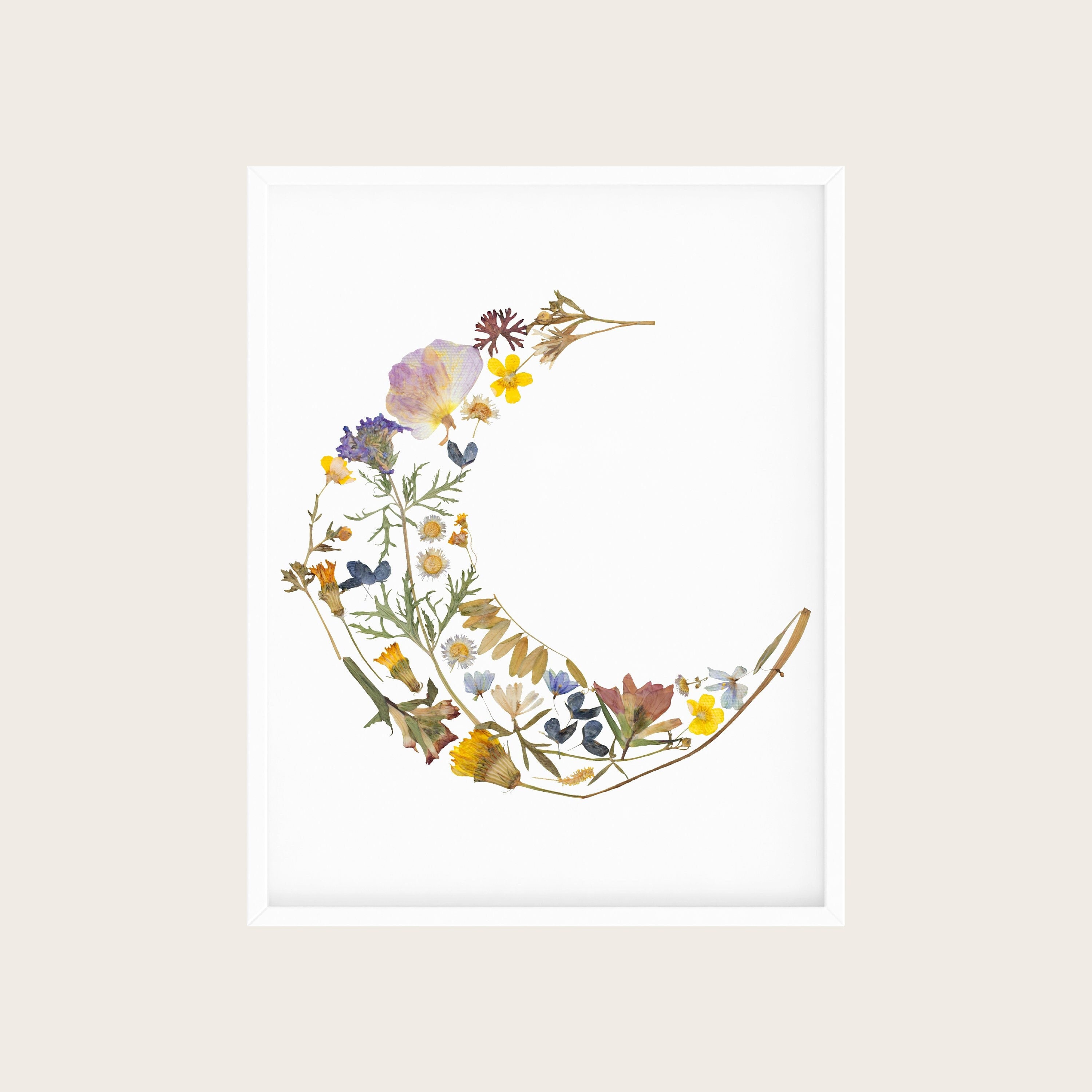 Pressed Flower Moon Art | Floral Moon Print | Cresent Moon Art | Floral Lunar Wall Art