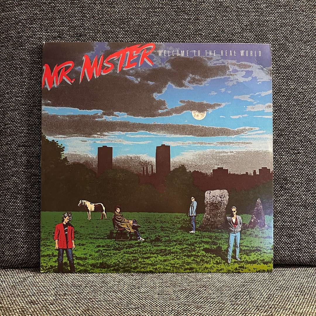 Mr. Mister to the Real World QUIEX Vinyl Record 1985 Etsy