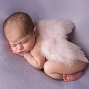May include: A newborn baby wearing pink feather angel wings, sleeping on a purple background.