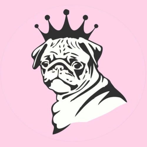 Moules À Glaçons Et Plateau En Silicone En Forme De Chien Pour EnfantsMoules À Glace En Silicone