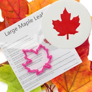 May include: A pink plastic maple leaf cookie cutter with instructions on a white sheet of paper. The instructions include how to use the cutter and care for it. The paper is on top of a pile of autumn leaves.