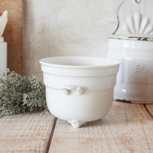 May include: A white ceramic planter with a rounded body and three small feet. The planter has a decorative band around the middle and small handles. A sprig of greenery is visible to the left.