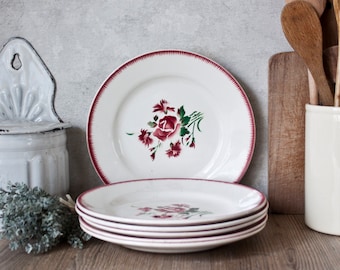 Set of 6 Gorgeous Antique French DIGOIN SARREGUEMINES Ironstone Plates, Stencil Floral Decor