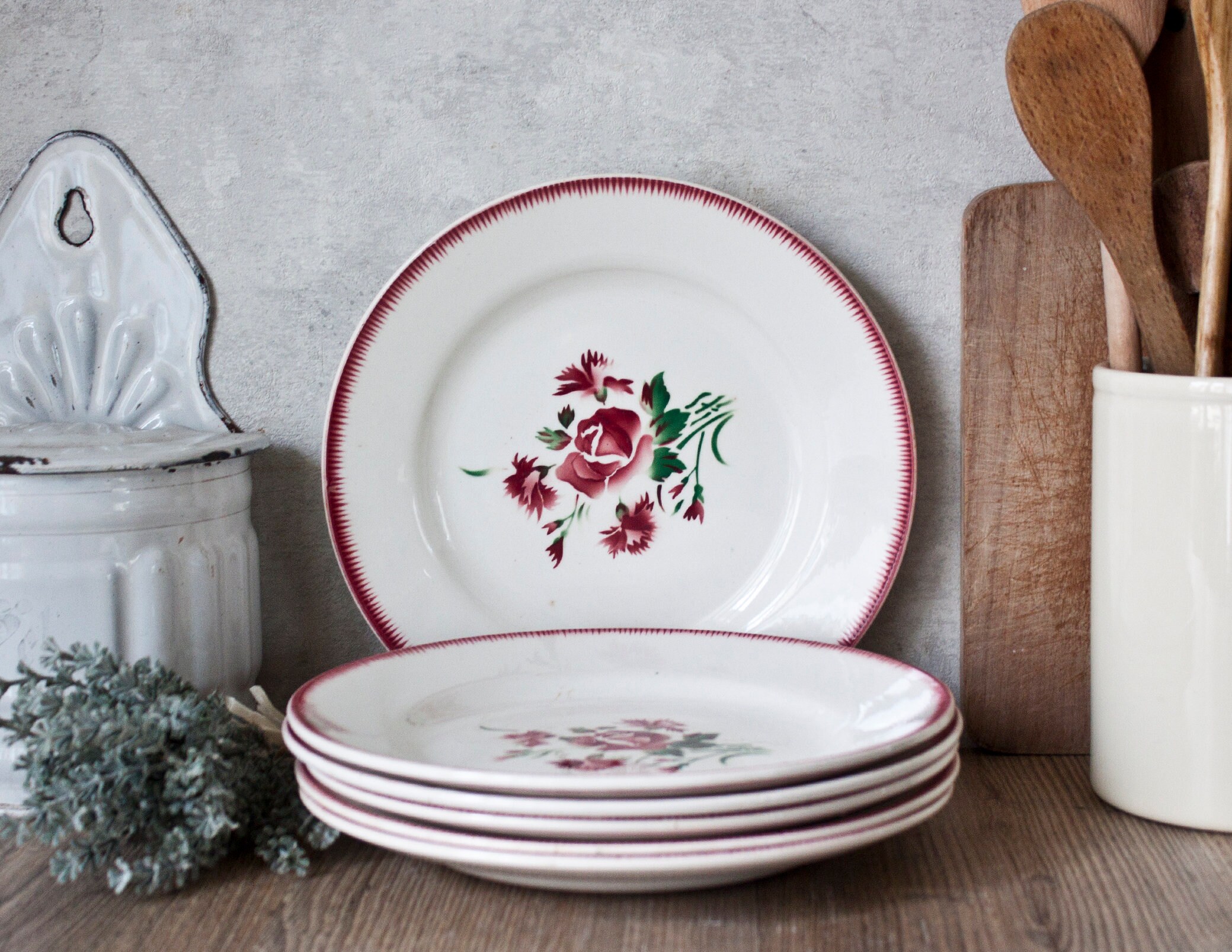 Ensemble de 6 Belles Assiettes Anciennes Digoin Sarreguemines en Terre Fer, Décor Floral