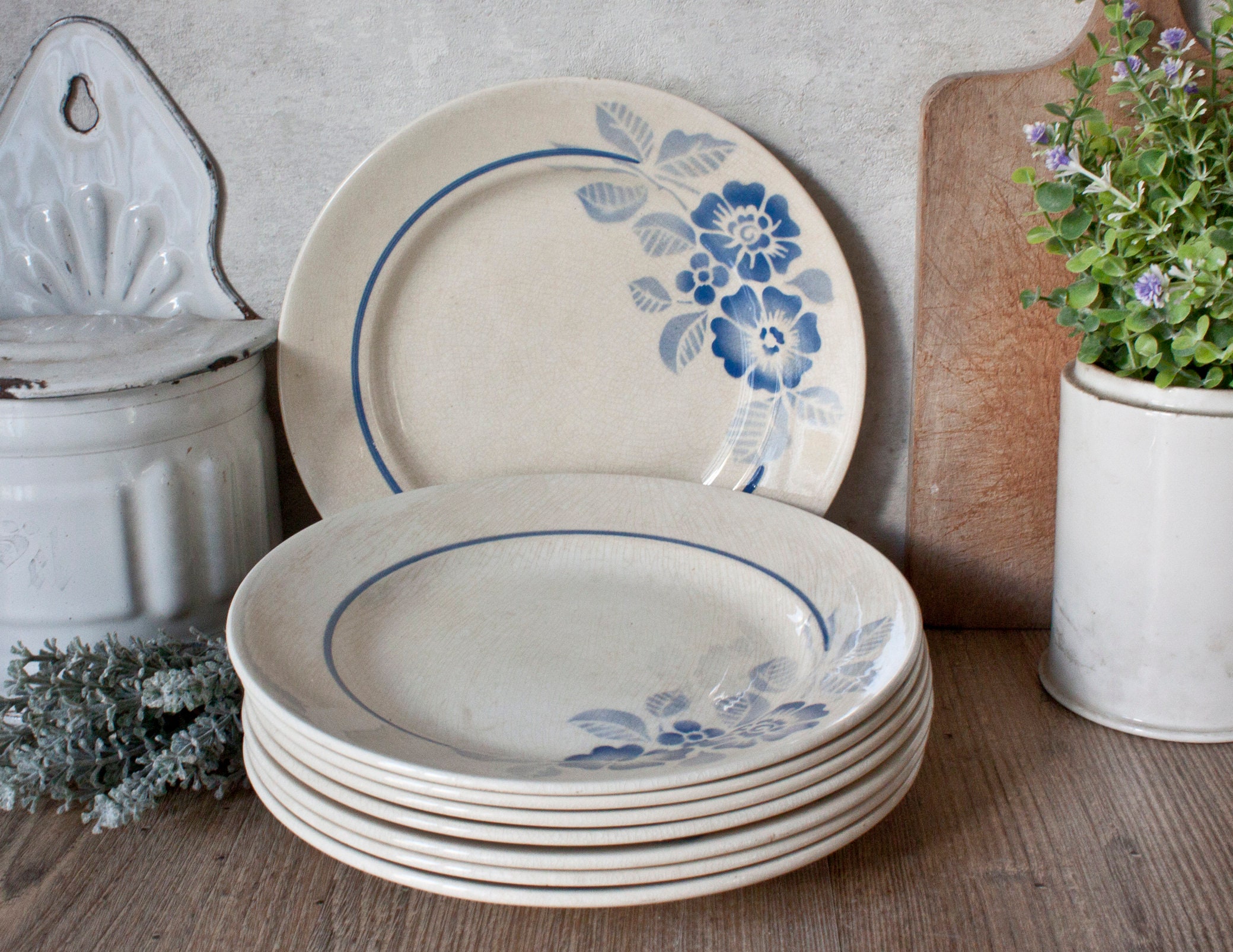 Ensemble de 8 Belles Assiettes Sarreguemines Anciennes en Terre Fer, Décor Floral Bleu